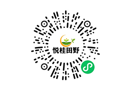 悦桂田野